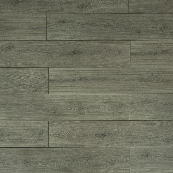 TF6309 Toucan Laminate Flooring