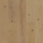 Bode 600x600 crop center.png