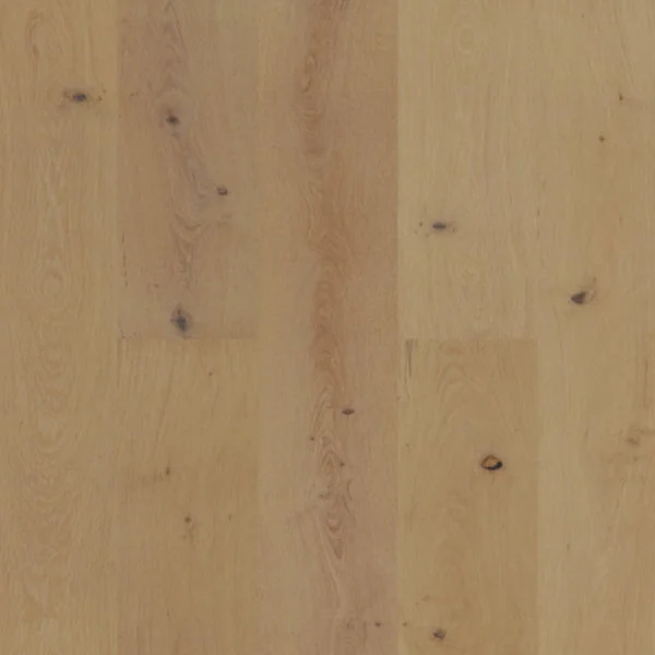 Bode 600x600 crop center.png