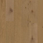 DesertArk 600x600 crop center.png