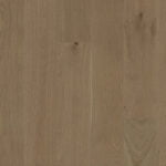 GoldenWheat 600x600 crop center.webp