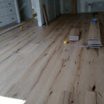 Jen Lion 2 600x600 crop center