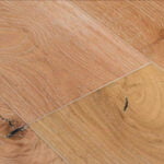 Lion 600x600 crop center