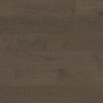 SanMarino Grove cb4499a4 2b1a 4c01 a07e 2652cd6e7587 600x600 crop center