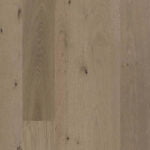 Valencia 600x600 crop center.png