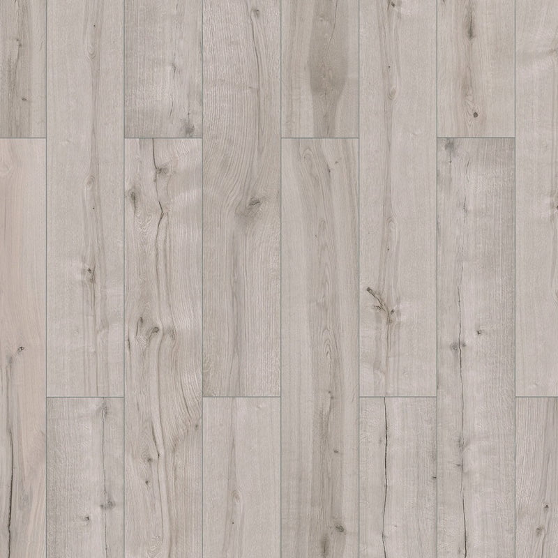 53003 Sumac 6426 1285 192 4V 4028 QueensofPgrau 1S FLO 1