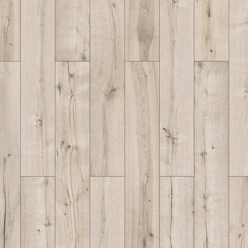 53004 Sedgwick 6427 1285 192 4V 4003 QueensofPhellgr 1S FLO 1 b7982b8d 1eb7 46e7 8b05 3ff8f557dd32