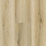 568 DisplayCardsForRendering 007 scaled 1