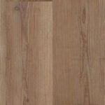 AndromedaPine e73d805e acf4 4e8b b2f8 a714fc3b144a