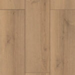 Canyon a2fb4371 44b0 4344 9268 8476ea5ff1bd