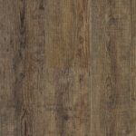 CarbonadoPlank 530005 CountrySquireMulti Plank28RGB29 scaled 1