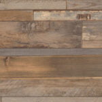 ExplorerOak dacc4c92 9475 41d4 a63f 251869f07c18