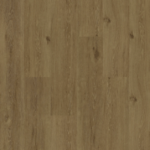 Goldcoast d348af7e 690e 497d 88b7 e50bc12063f4