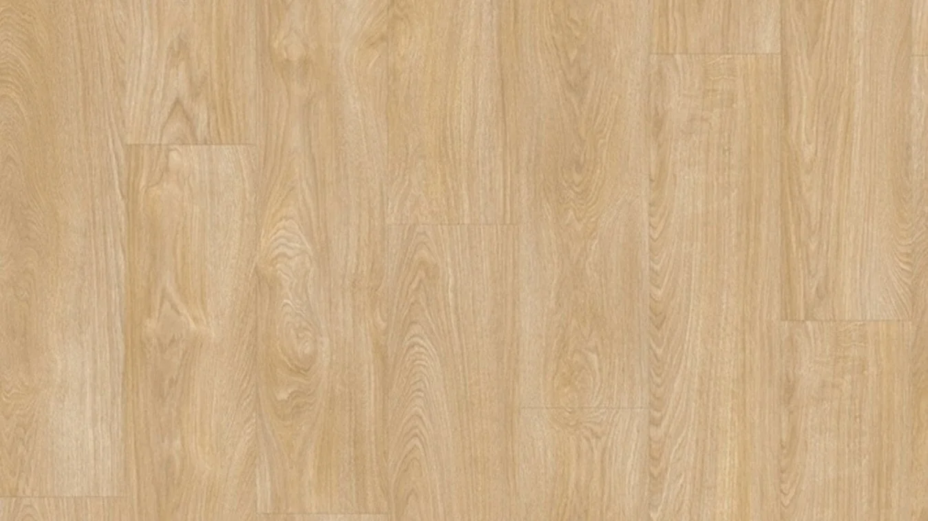 Laurel Oak 51282 scaled 1