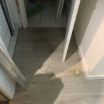 Mehrnoosh4 CoastalCloud