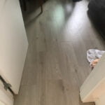 Mehrnoosh5 CoastalCloud