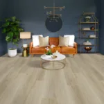 MorningSplendourRoomScene