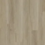 MorningSplendour 723eefc7 cd32 494d a3bc 81b68802f69a