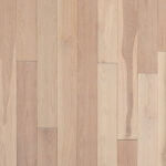 Sandbank 6f501773 11ce 4060 bc64 5938e399f4de