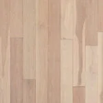 Sandbank 6f501773 11ce 4060 bc64 5938e399f4de