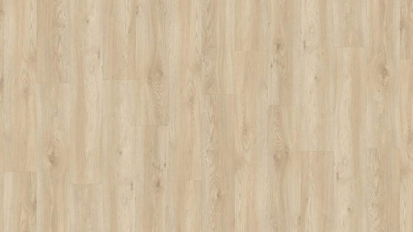 Sierra Oak 58248 scaled 1