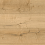 StarCoral 5649fd2d a029 4bc8 931c d4bf2a1390d5