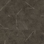 VRG1038 Arctic Seal 5G 1