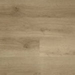 olympia 636361 scaled 1