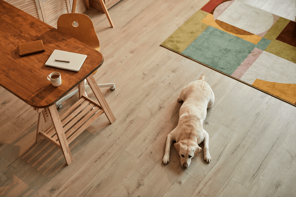 lebra-dog-at-flooring